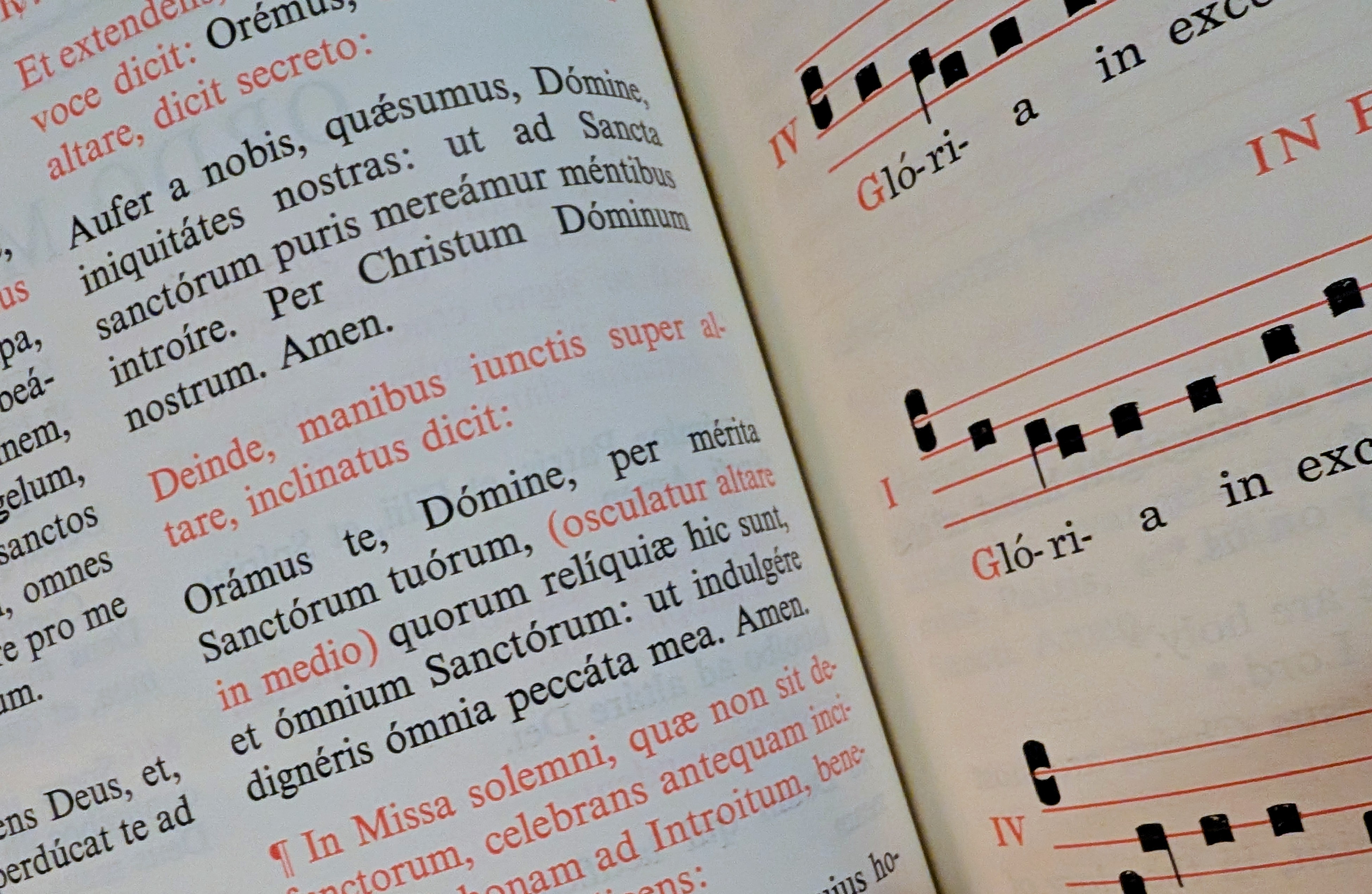 Quiet Repairs: Small Liturgical Changes That Could Restore Reverence in the Novus Ordo